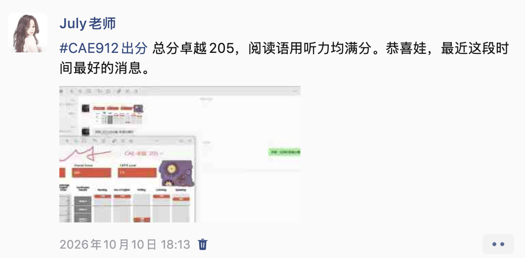 教学成果 · CAE 总分卓越 205